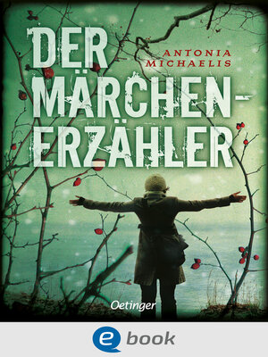 cover image of Der Märchenerzähler